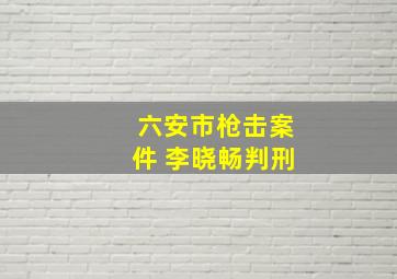 六安市枪击案件 李晓畅判刑